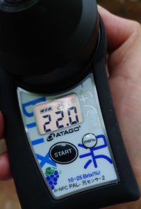 20250727_053207